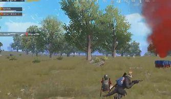 和平精英最新爆料顶瓜瓜,顶瓜瓜带你揭秘游戏最新动态